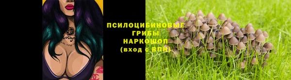 синтетический гашиш Алексин