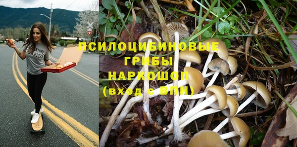 а пвп мука Белокуриха