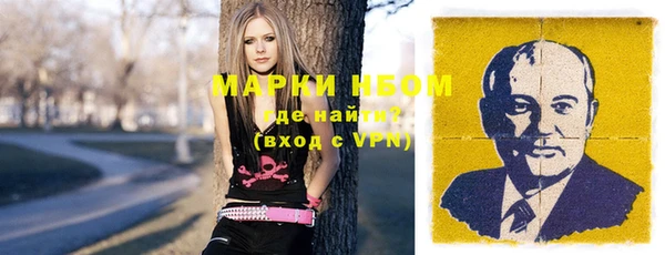 ALPHA-PVP Новозыбков